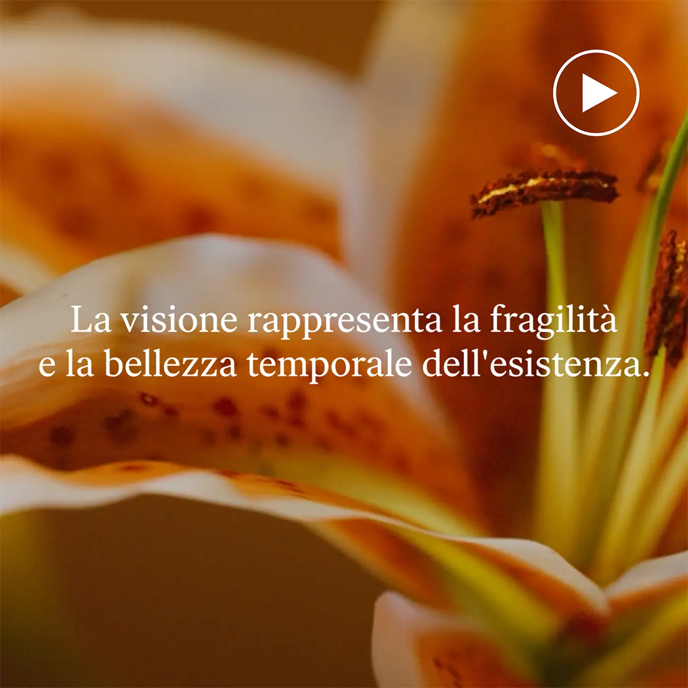 Tschabalala Self - Inspirational video preview