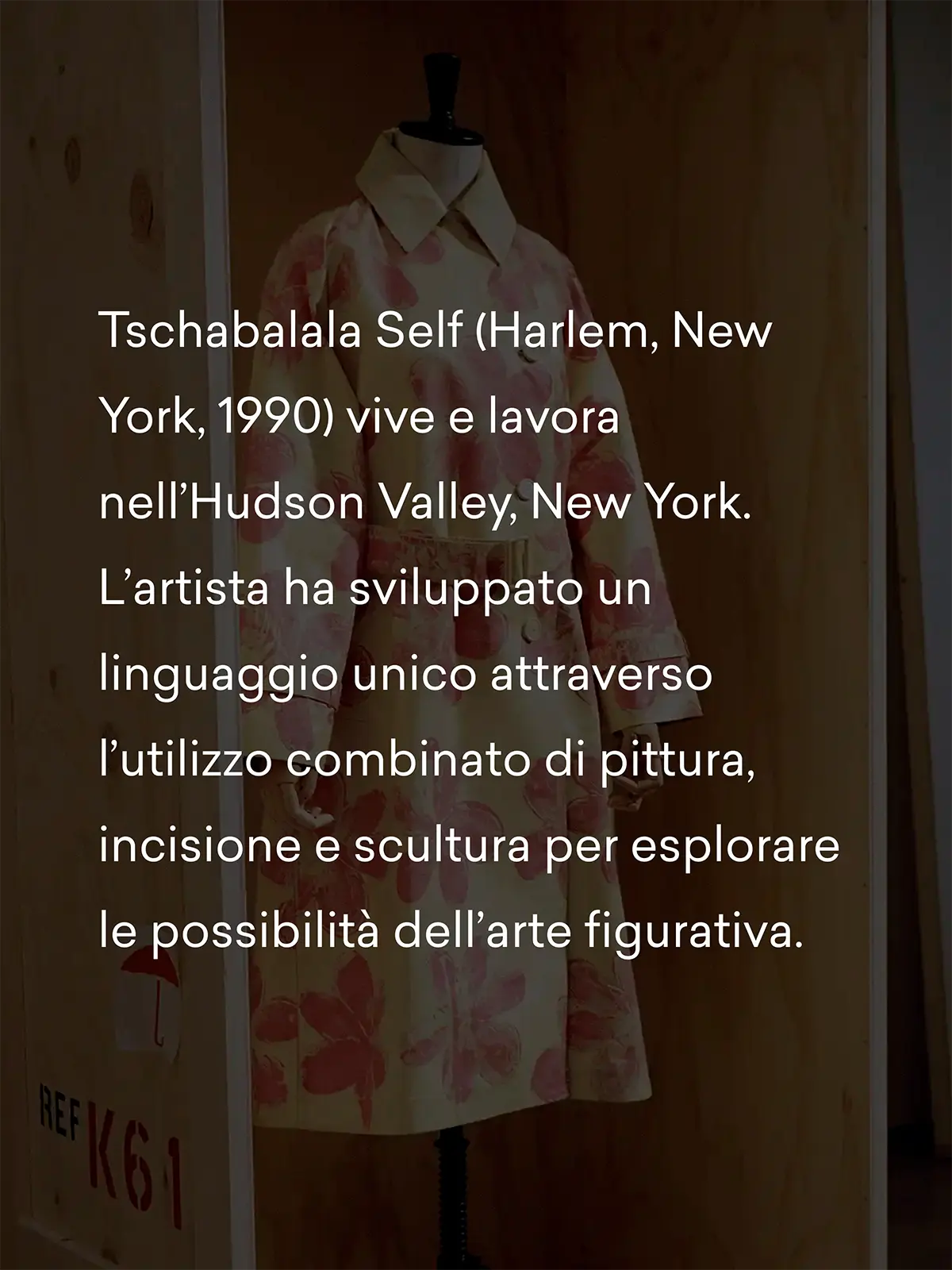 Tschabalala Self - bio preview